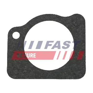 FT57404 FAST