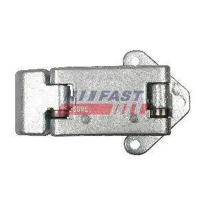 FT94146 FAST