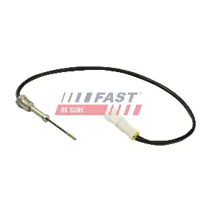FT80256 FAST