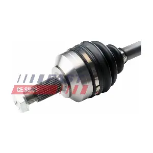 FT01487 FAST