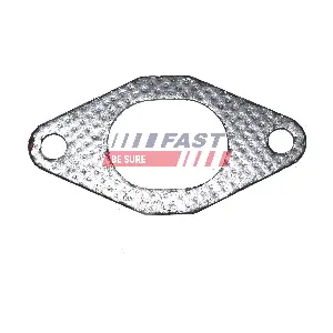 FAST FT49484