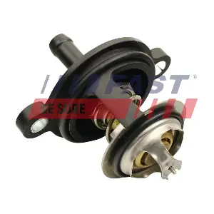 FT58038 FAST