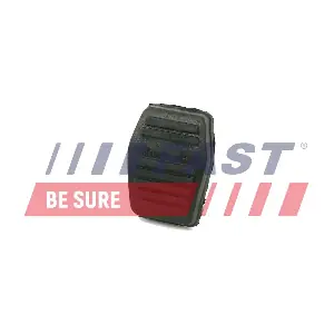 FT13081 FAST