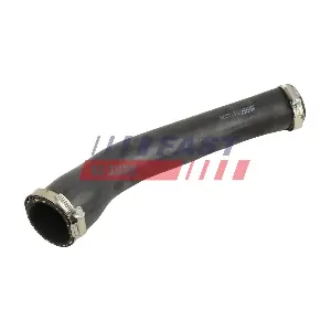 FT01217 FAST