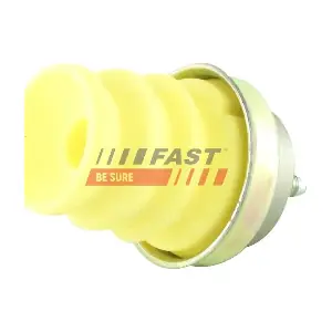 FT18036 FAST
