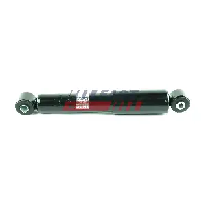 FT11007 FAST