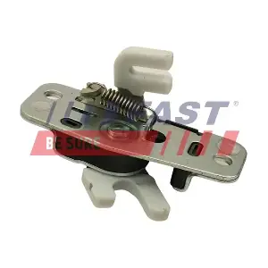 FT95095 FAST