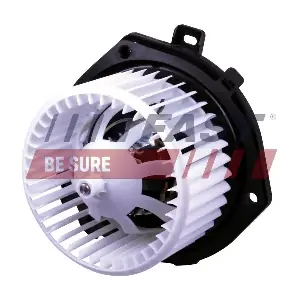 FT56166 FAST