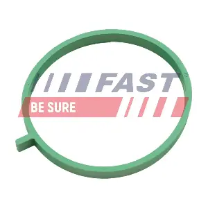 FT49472 FAST