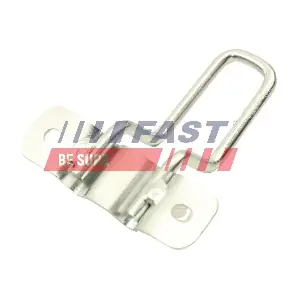 FT95423 FAST