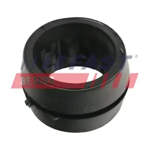 FT13053 FAST