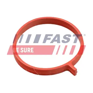 FT48959 FAST