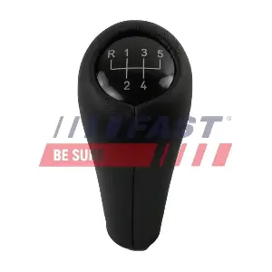 FAST FT09039