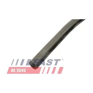 FT61721 FAST