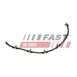 FT00255 FAST