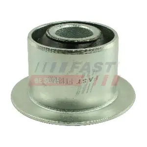 FT18146 FAST