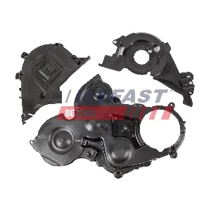 FT45317 FAST