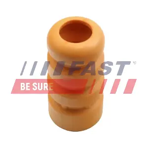 FT12556 FAST