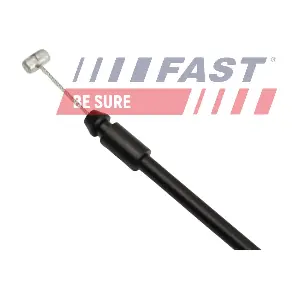 FT95029 FAST