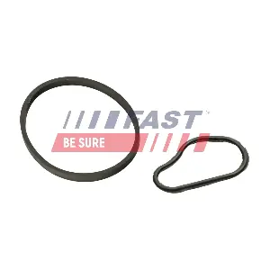 FT48943 FAST