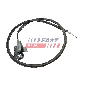 FT95395 FAST