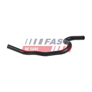 FT61687 FAST