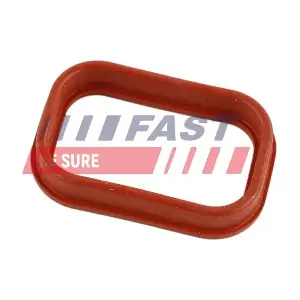 FT49435 FAST