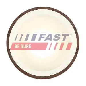 FT49817 FAST