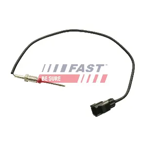 FT80229 FAST