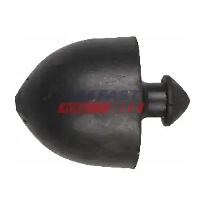 FT20053 FAST