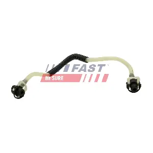 FT39574 FAST