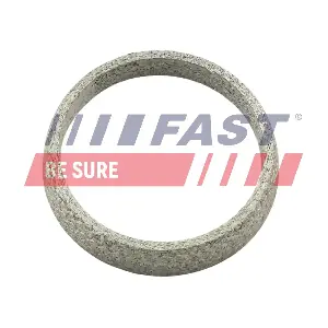FT84823 FAST