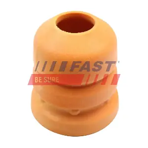 FT12613 FAST