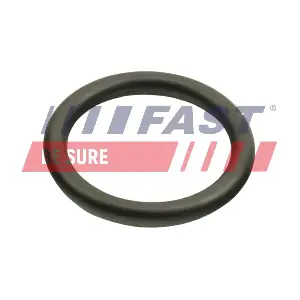 FT48940 FAST