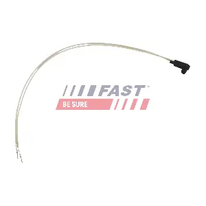 FT10041 FAST