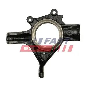 FT13554 FAST