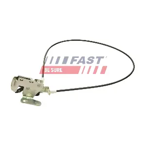 FT95381 FAST
