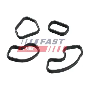 FT48957 FAST