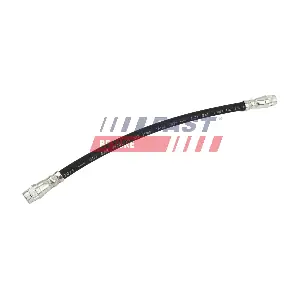 FT10096 FAST