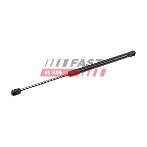 FT00192 FAST