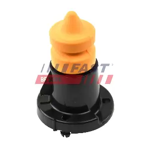 FT18177 FAST