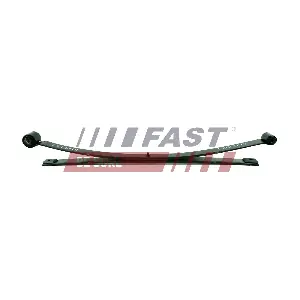 FT13319 FAST