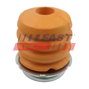 FT16629 FAST