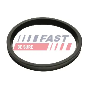 FT48947 FAST