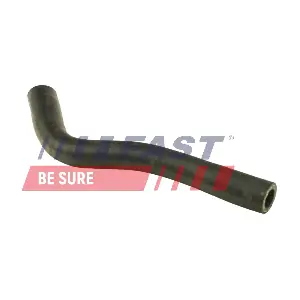 FT61075 FAST