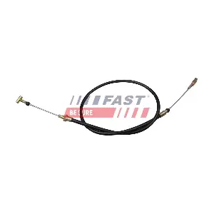 FT69161 FAST