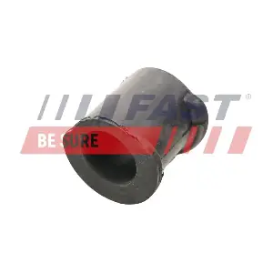 FT18495 FAST