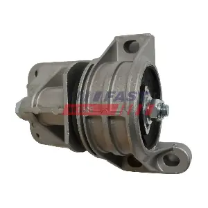FT52484 FAST