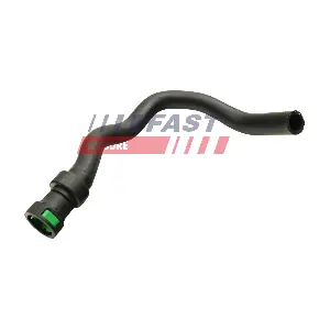 FT61179 FAST