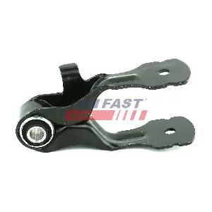 FT52516 FAST
